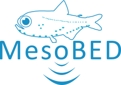 Mesopelagic fish: Biology, Ecological role and Distribution of a disregarded trophic link